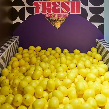 Apartment La Orange - Instagood - Proche Cite Medievale Et Centre A Pied Carcassonne