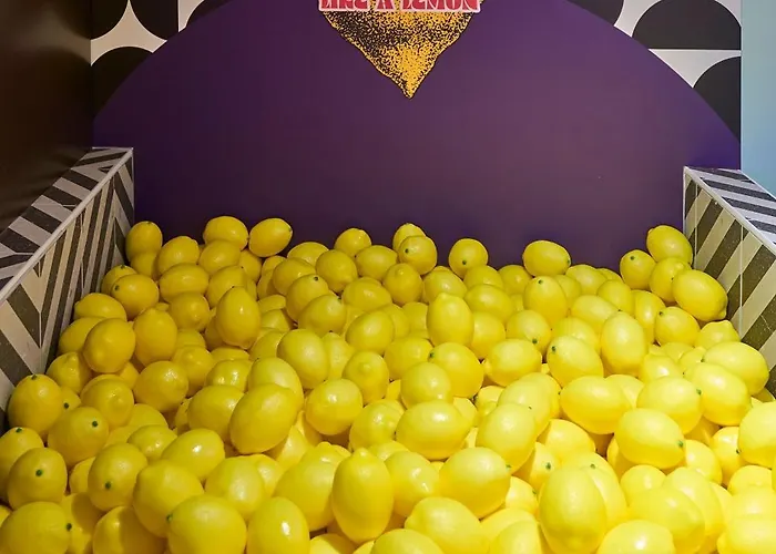 Apartament La Orange - Instagood - Proche Cite Medievale Et Centre A Pied Carcassonne